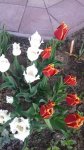20190524_200129.jpg