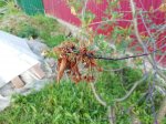 IMG_20190602_184304.jpg