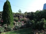 DSCN9168.JPG