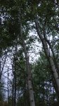 IMG_20190626_135618.jpg