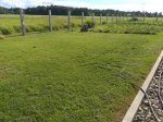 20190707_163745.jpg