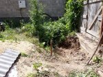 20190713_131049.jpg