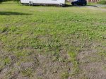 IMG_20190807_092520.jpg