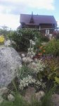 IMG_20190815_133458.jpg
