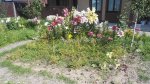IMG_20190816_122519.jpg