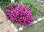 IMG_20190915_171923.jpg