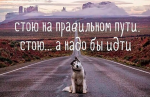 Скриншот 31-01-2020 120904.png