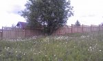 IMAG0330.jpg
