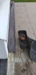 IMG_20200603_114656.jpg