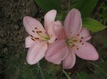 IMG_5151.JPG