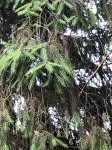 IMG_4159.jpg