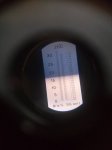 IMG_20200826_141413.jpg