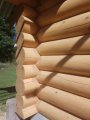 IMG_20200828_135853.jpg