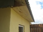 IMG_0466.JPG