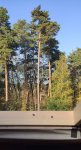 IMG_20201002_092604.jpg