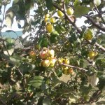 20201010_104729.jpg