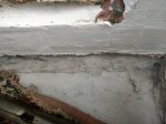 IMG_20201116_112320.jpg