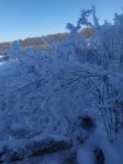 IMG-20201206-WA0030.jpg