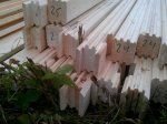 IMG_20120624_134427.jpg