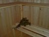 DSC049577.JPG