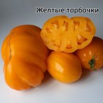 20200901_135214.jpg