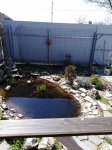 IMG_20210406_111912.jpg
