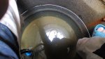 IMG_20180908_152241.jpg