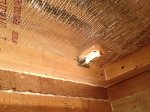 IMG_2777.JPG