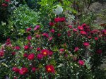 DSCN2803.JPG