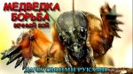 Как избавиться от медведки, самый простейший способ.jpg