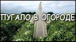 ПУГАЛО В ОГОРОДЕ.jpg