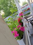 IMG_20220615_210915.jpg