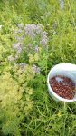IMG-20220716-WA0008.jpeg