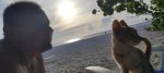 IMG_20221019_065253.jpg