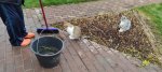 IMG_20221024_111341.jpg