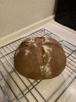 IMG_4076.jpeg