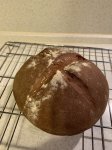 IMG_4077.jpeg
