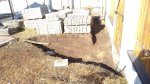 IMG_20211101_125649.jpg