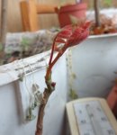 DSC00007.JPG