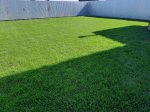 20230903_110623.jpg