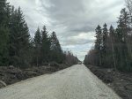 IMG_20240408_171750.jpg