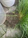 IMG_5280.jpeg