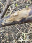IMG_0391.jpeg