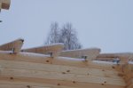 DSC05584.JPG
