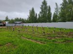 IMG-20250630-WA0064.jpg