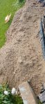 IMG_20250706_132742_659.jpg