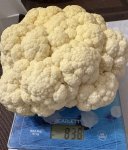 IMG_2755.jpeg