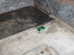 IMG_20250908_150213.jpg
