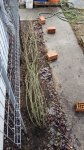IMG_20260405_145821.jpg