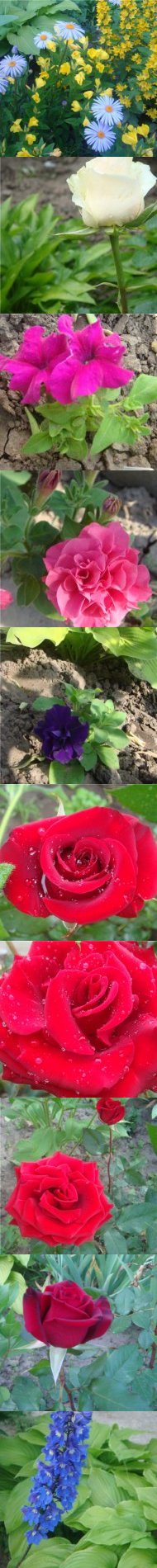 Фотографии из альбома "2010."